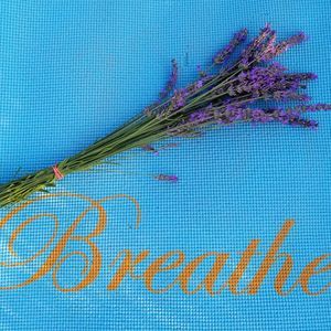 Meet your Posher, Christy